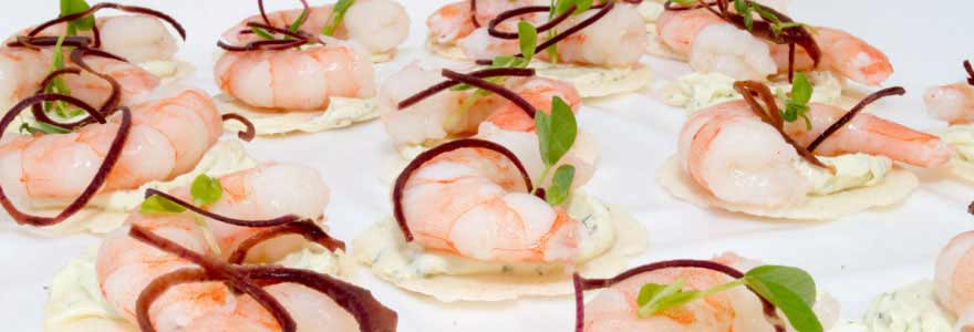 Gourmet Finger Food Caterer in Adelaide